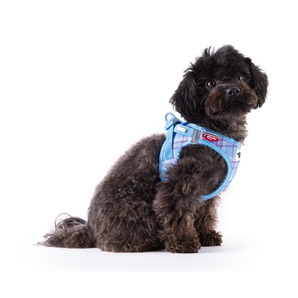 Szelki dla psa CARLI CLASP AIR MESH - AQUA CARO (2).png