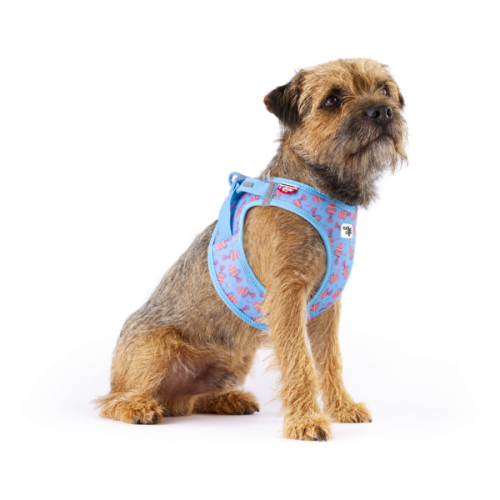 Szelki dla psa CARLI CLASP AIR MESH - AQUA FISH  (1).png