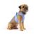 Szelki dla psa CARLI CLASP AIR MESH - AQUA FISH  (1).png