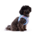 Szelki dla psa CARLI CLASP AIR MESH - AQUA FISH  (2).png