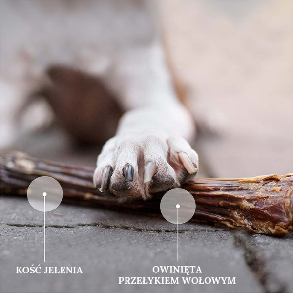 ZIWIPEAK Kość jelenia dla psa -  cała - 195 g (5).png