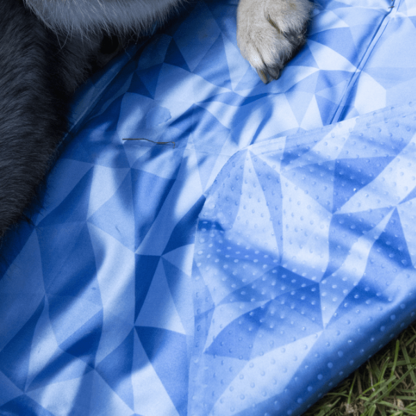 Mata chłodząca dla psa - CoolPets PREMIUM - detal.png