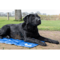 Mata chłodząca dla psa - CoolPets PREMIUM .png