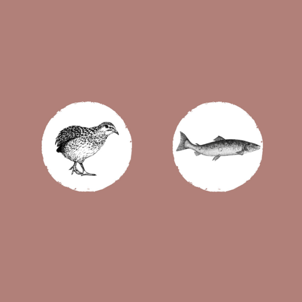 EDEN Karma półwilgotna z łososiem i przepiórką SALMON &amp; QUAIL (4).png