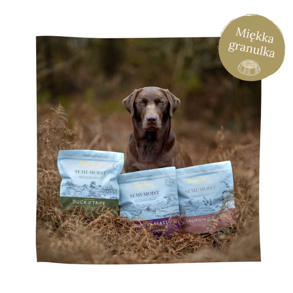 EDEN Karma półwilgotna z łososiem i przepiórką SALMON &amp; QUAIL (6).png