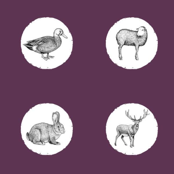 EDEN Karma półwilgotna z jagnięciną, królikiem i dziczyzną COUNTRY FEAST (4).png