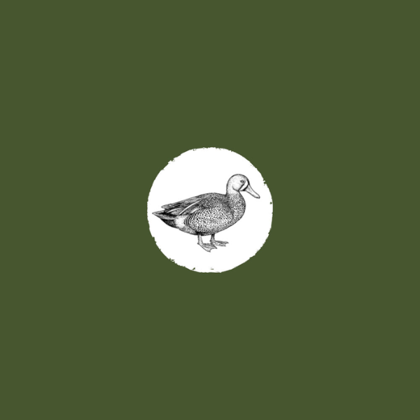 EDEN Karma półwilgotna z kaczką i żołądkami DUCK &amp; TRIP  (4).png