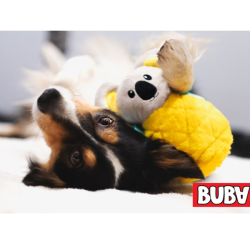 BUBA ZABAWKA DLA PSA - KOALA ŚPIOCH