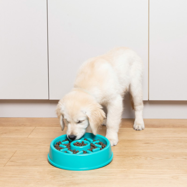 ZippyPaws Miska spowalniająca dla psa - DONUT (5).png