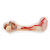 KOŚĆ Z SZYNKI PARMEŃSKIEJ PROSICIUTTO BONE DLA PSA  - 300 g (2).png