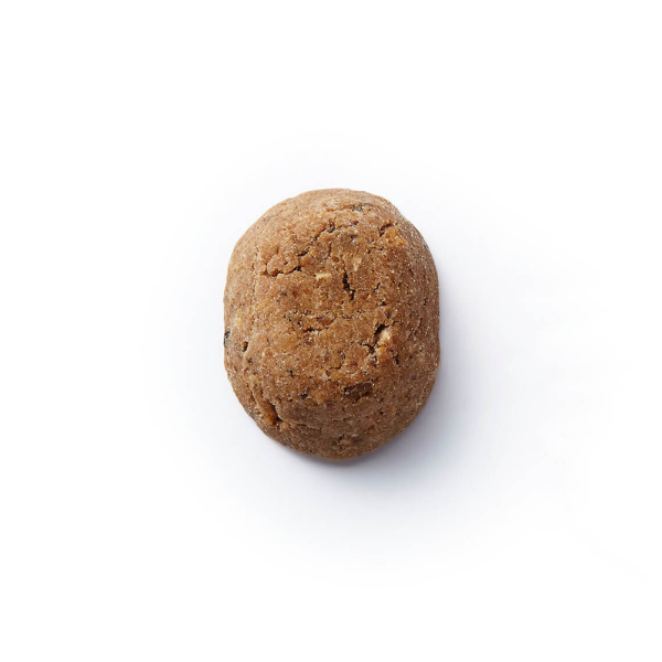 DEER DOG Dzik z batatem - karma sucha monoproteinowa dla dużych psów (3).png