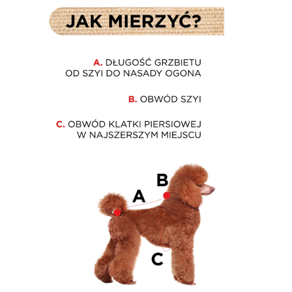ZOLUX Kurtka puchowa London - jak mierzymy.png