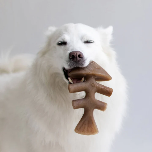 Gryzak dla psa Benebone Fishbone (10).png