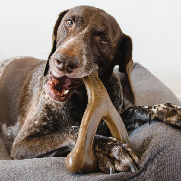 Zabawka - gryzak Benebone WISHBONE dla psów  (10).png
