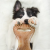 Zabawka - gryzak Benebone DENTAL CHEW dla psów - smak bekonu (9).png