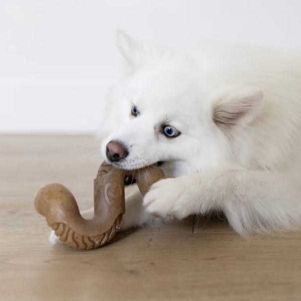 Zabawka - gryzak Benebone TRIPE BONE - smak flaków wołowych  (7).png