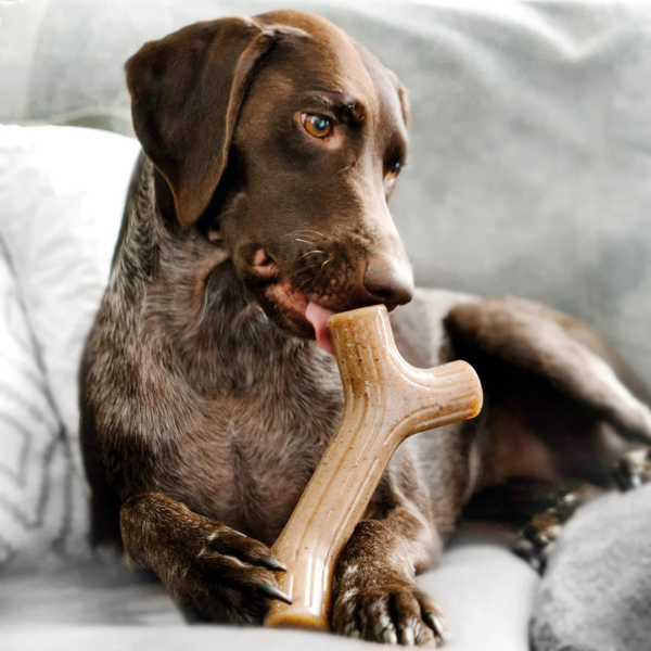 Zabawka - gryzak Benebone Stick Bekon (6).png