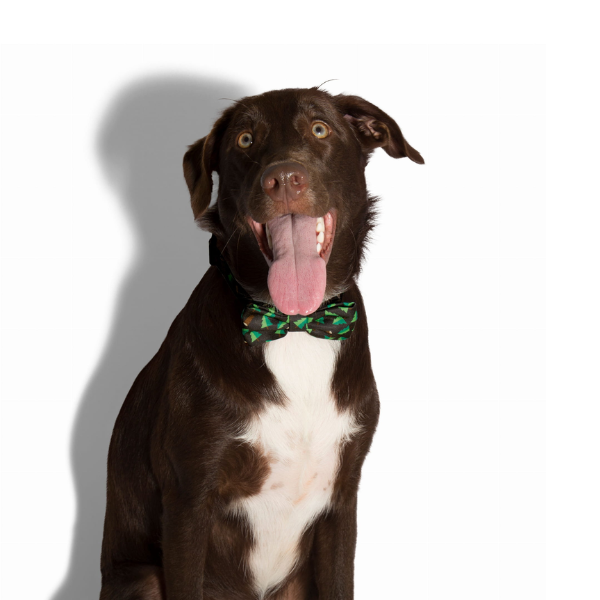 ZEE DOG Muszka świąteczna WOODS dla psa  (2).png