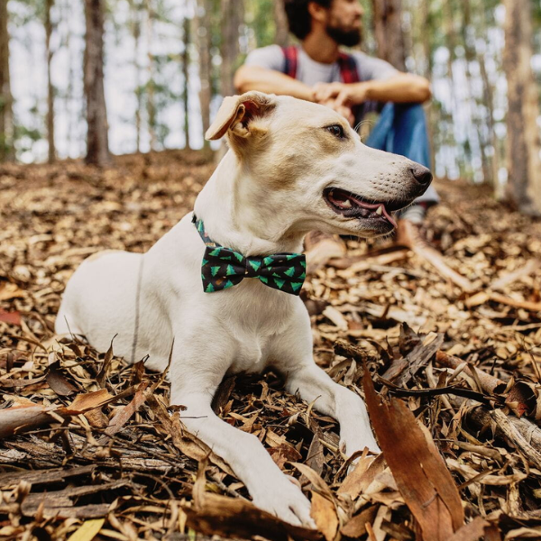ZEE DOG Muszka świąteczna WOODS dla psa  (3).png