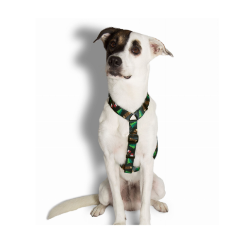 ZEE DOG SZELKI ŚWIĄTECZNE WOODS DLA PSA (2).png