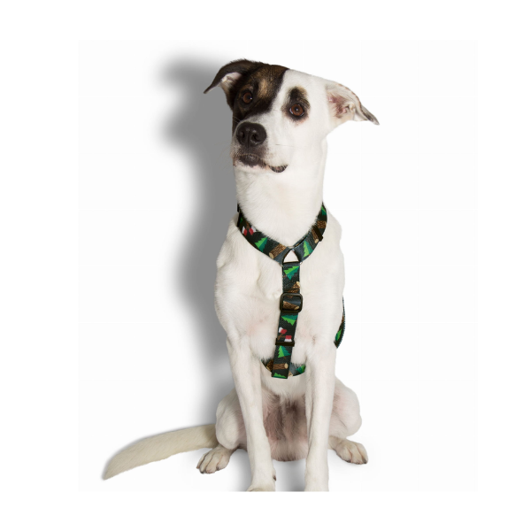 ZEE DOG SZELKI ŚWIĄTECZNE WOODS DLA PSA (2).png