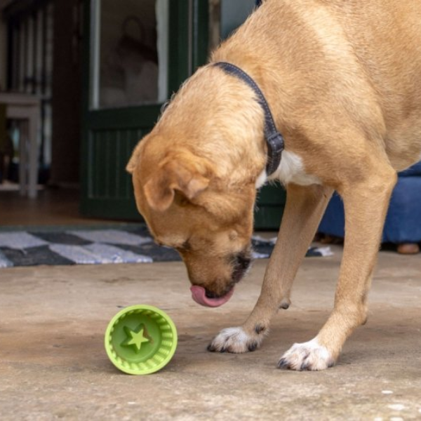 LICKIMAT Miska - garnuszek spowalniający jedzenie dla psów YOGGIE POT - kolor turkusowy (7).png