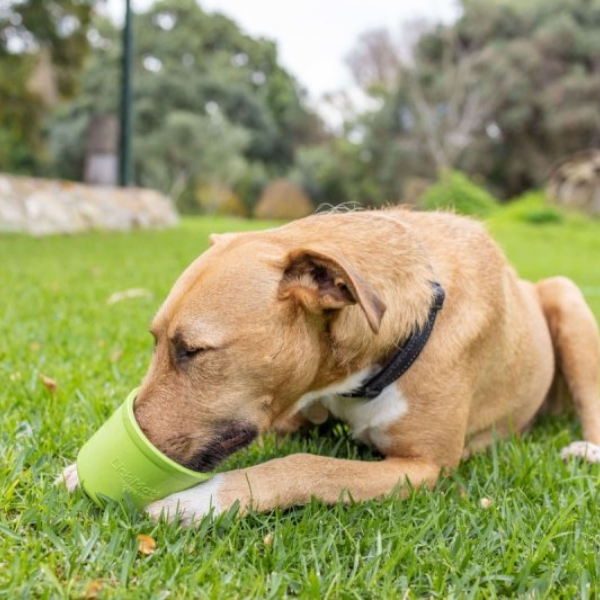 LICKIMAT Miska - garnuszek spowalniający jedzenie dla psów YOGGIE POT - kolor turkusowy (10).png