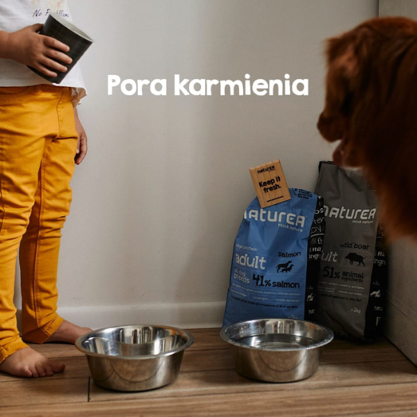 NATUREA ADULT SALMON Kompletna karma dla dorosłych psów wszystkich ras - 12 kg  (3).png
