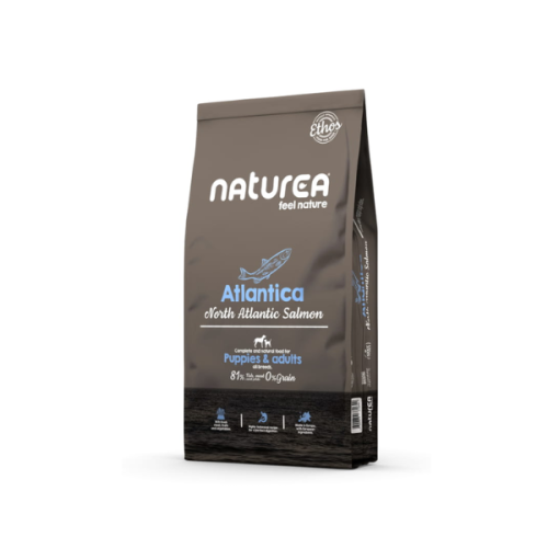 NATUREA GRAINFREE ATLANTICA  SALMON Karma bezzbożowa z łososiem dla dorosłych psów wszystkich ras - 1,6 kg (1).png