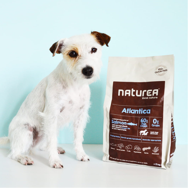 NATUREA GRAINFREE ATLANTICA  SALMON Karma bezzbożowa z łososiem dla dorosłych psów wszystkich ras - 1,6 kg (3).png