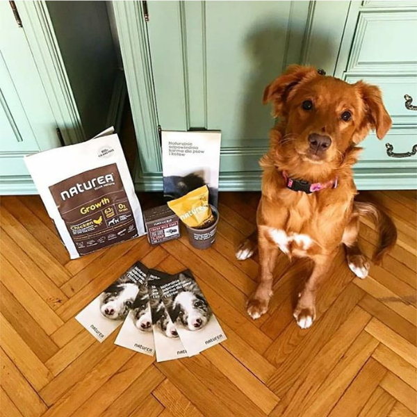 NATUREA GRAINFREE GROWTH CHICKEN  Karma bezzbożowa z kurczakiem dla szczeniąt średnich i dużych ras - 12 kg, (4).png