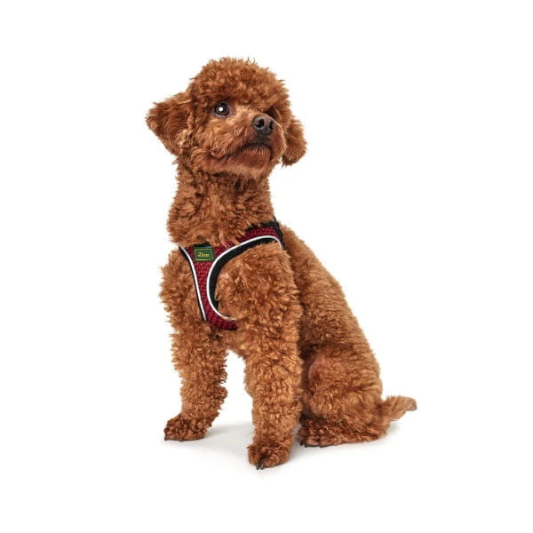 HUNTER SZELKI HILO COMFORT CZERWONE 1.jpg