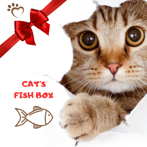 CAT'S FISH BOX - Walentynkowy zestaw prezentowy dla kota .png