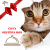 CAT'S MISTERY BOX - Walentynkowy zestaw prezentowy dla kota .png