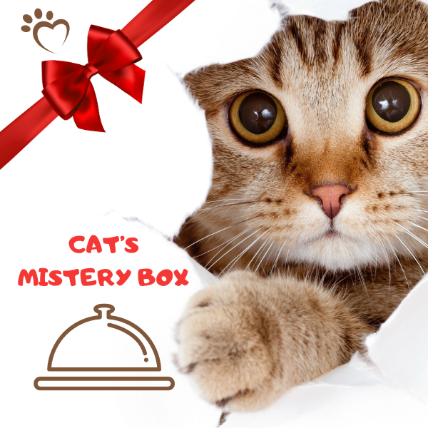 CAT'S MISTERY BOX - Walentynkowy zestaw prezentowy dla kota .png