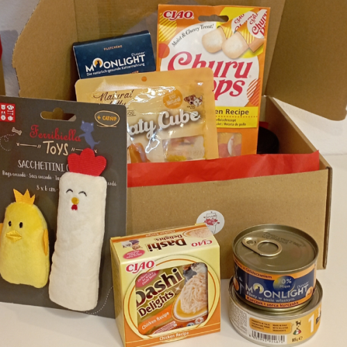 CHICKEN CAT BOX.png