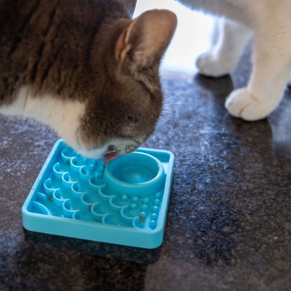LickiMat Kitty - mata spowalniająca jedzenie dla kociąt i kotów - kol. niebieski (4).png