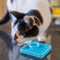 LickiMat Kitty - mata spowalniająca jedzenie dla kociąt i kotów - kol. niebieski (5).png