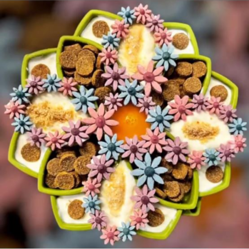 SODAPUP Mata i miska spowalniająca MANDALA dla psów - kolor zielony (3).png
