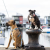 Max&amp;Molly Smycz przepinana dla psa Multi-Leash - Ocean  (6).png