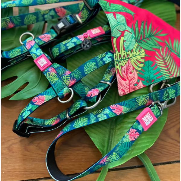 Max&amp;Molly Obroża dla psa - TROPICAL (9).png