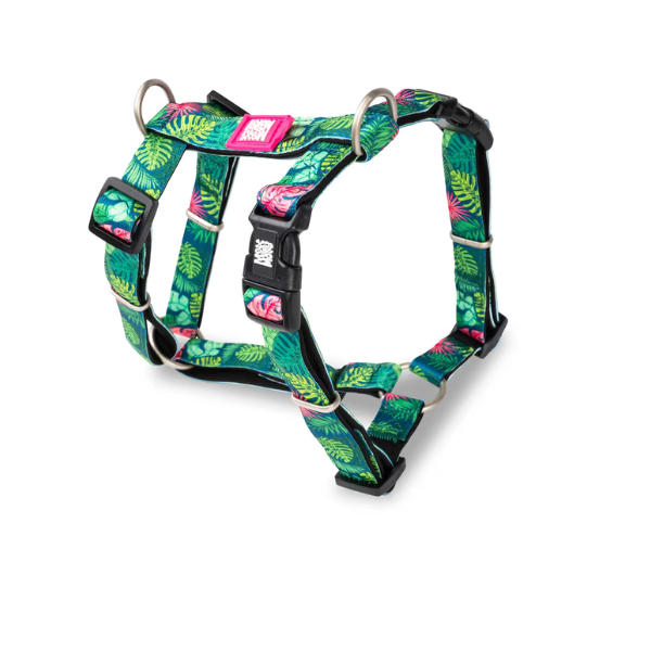 Max&amp;Molly Szelki dla szczeniąt i psów - TROPICAL  (1).png