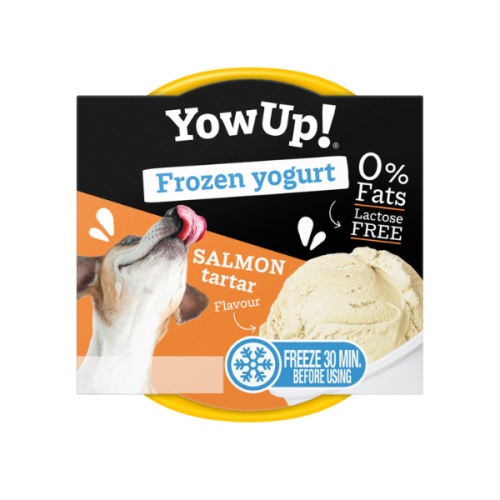 YOW UP ! Jogurt do mrożenia o aromacie tatara z łososia Salmon Tartar FROZEN YOGURT.png