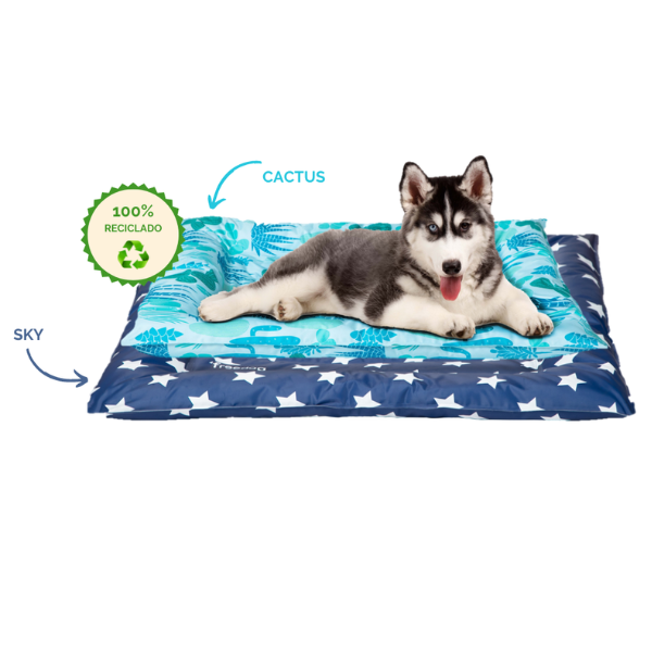 FREEDOG PODUSZKA CHŁODZĄCA ECO COOLING SKY GWIAZDKI DLA PSA.png