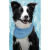 FREEDOG LEGOWISKO CHŁODZĄCE DLA PSA ECO COLL BED MANDELA + BANDANA CHŁODZĄCA.png