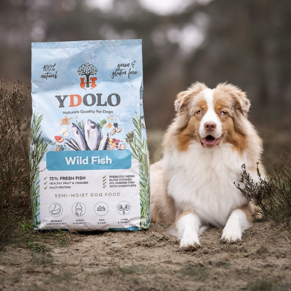 YDOLO Karma półwilgotna dla psa - ryby morskie  (6).png