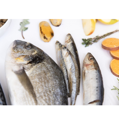 YDOLO WILDFISH Karma półwilgotna dla psa - ryby morskie  - 100 g (4).png