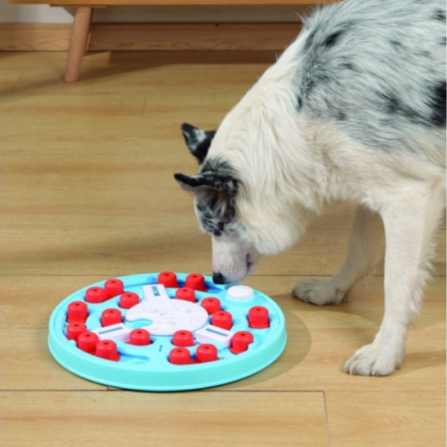 Zabawka interaktywna dla psów BRAINY GAMES Da Vinci trudna.png