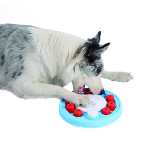 MPETS Zabawka interaktywna dla psów BRAINY GAMES DA VINCI - poziom średni (1).png