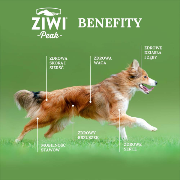 ZIWIPEAK CHICKEN Karma mokra monobiałkowa (2).png